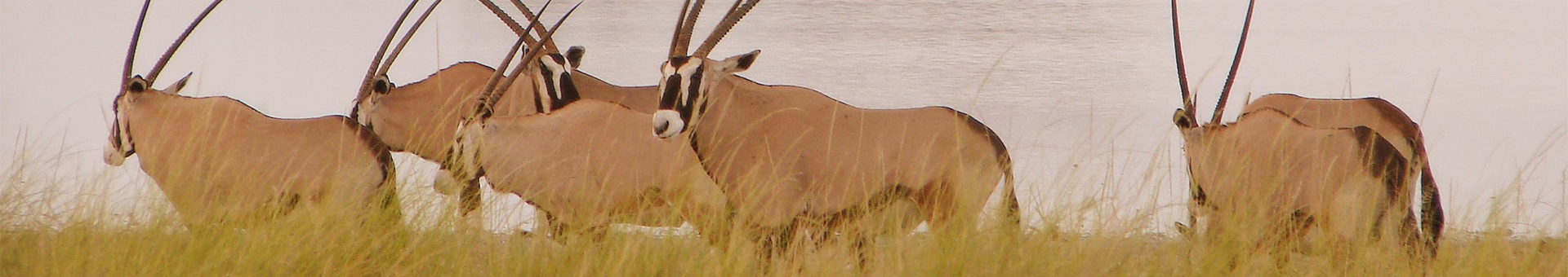 Makgadikgadi Pans