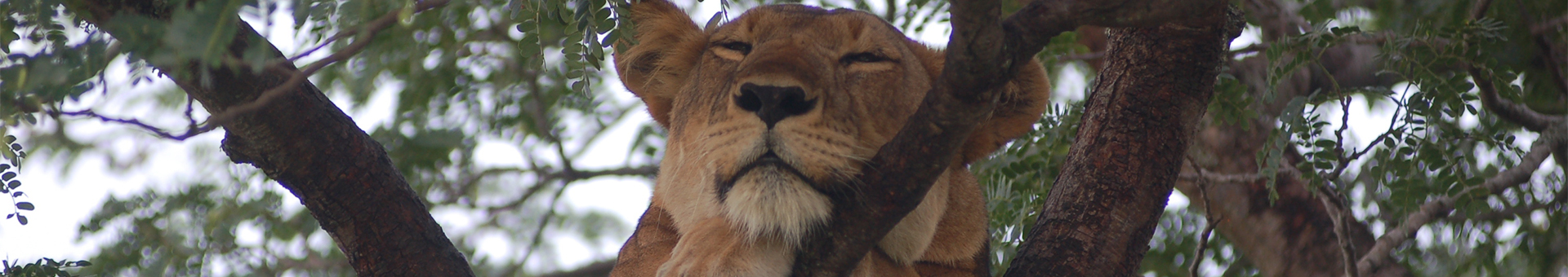 Queen Elizabeth National Park