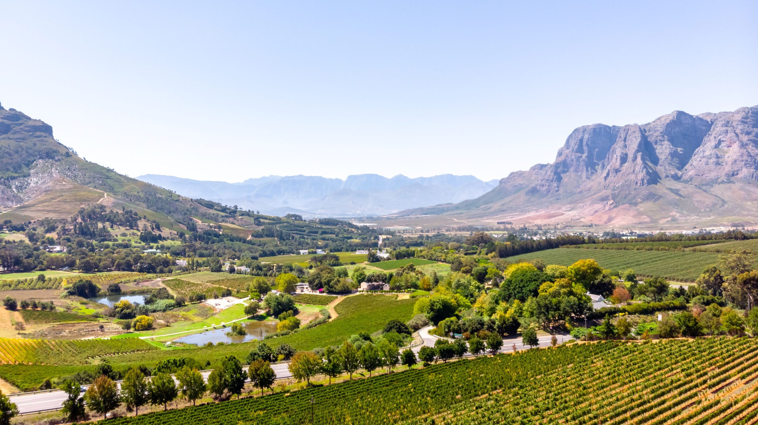 Western Cape
